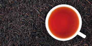 Grossiste Thés vrac